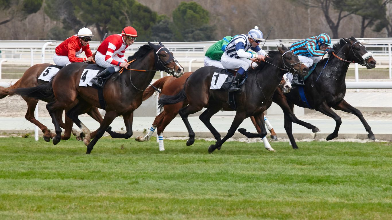bet365 horse racing betting odds