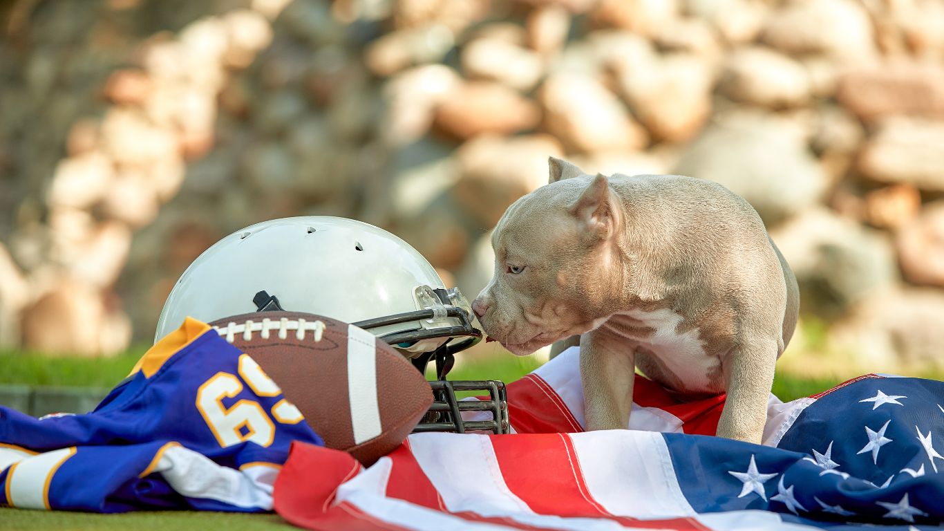 arkansas vs auburn