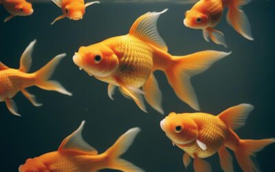 when can i stop worrying about food getting stuck in wisdom teeth holes