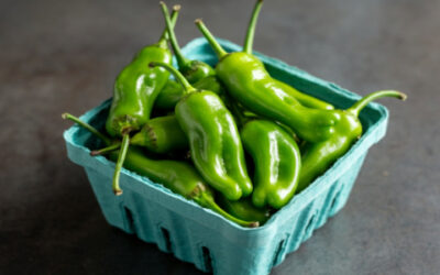 grandma's kitchen potato salad
